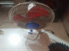 fan